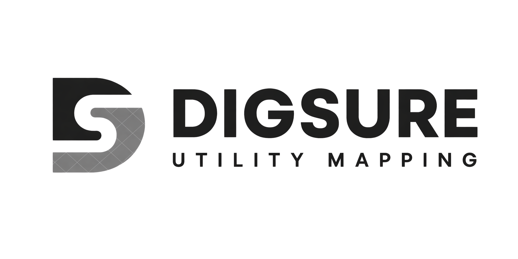 Digsure logo